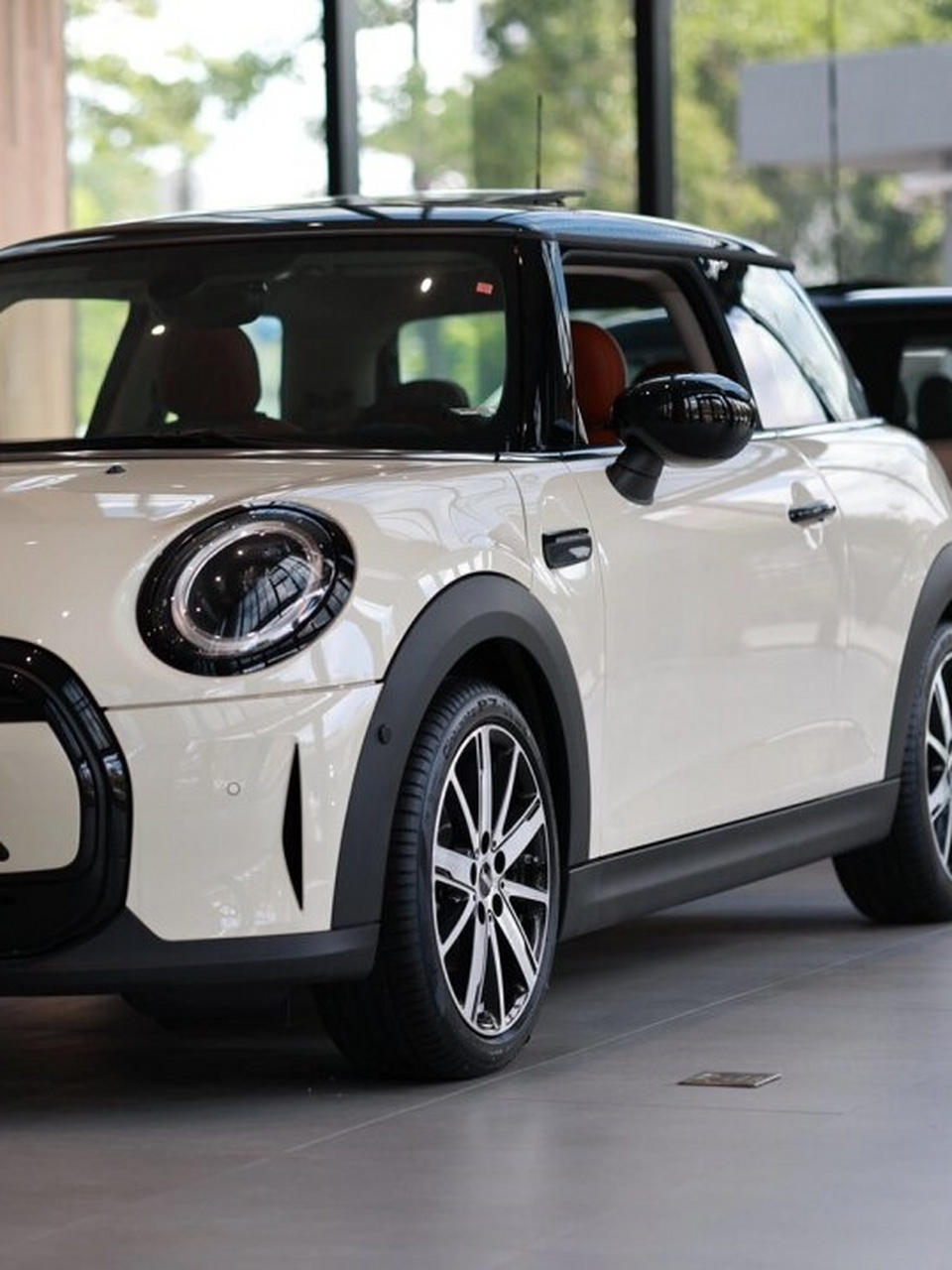 胡椒白他不香吗  mini cooper 三门艺术家 胡椒白:清新之选,小姐姐们