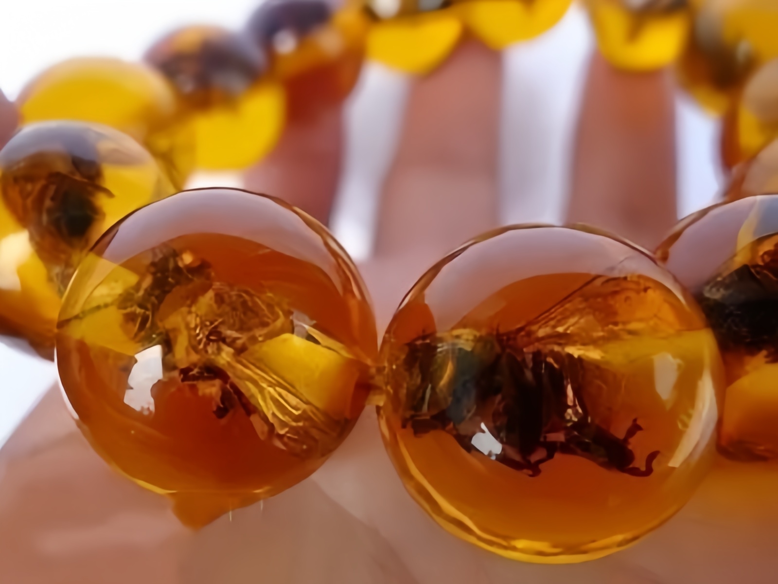 慧眼识宝!真假琥珀鉴别指南,让你轻松淘到真品!