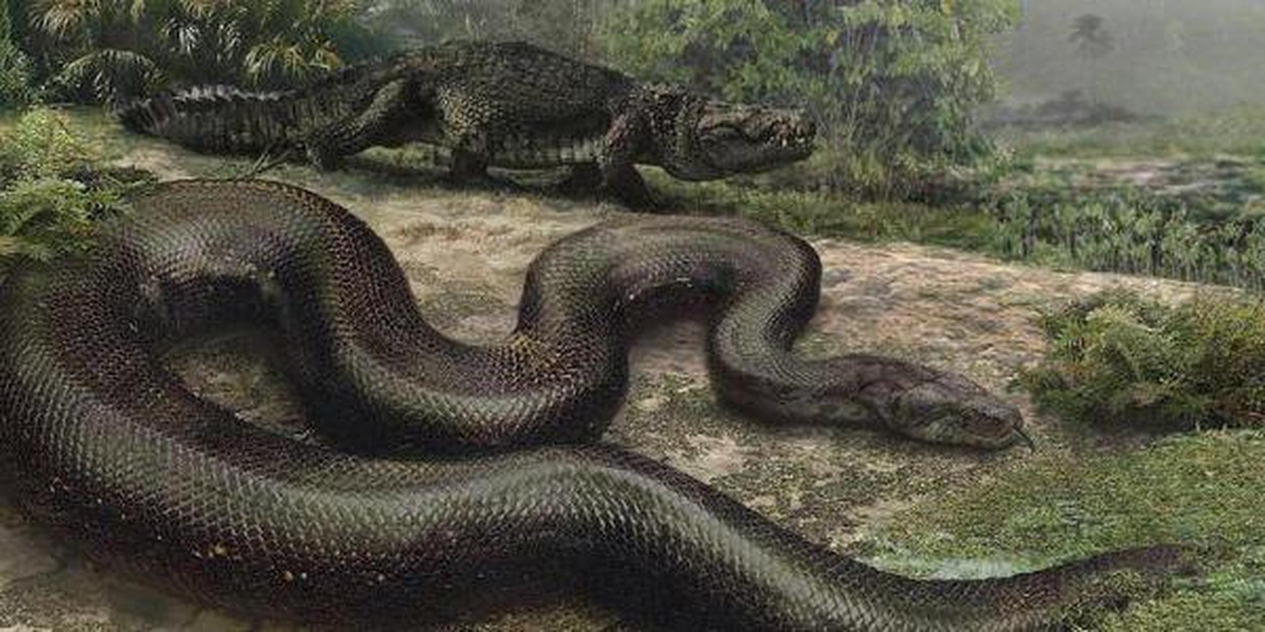 证明远古时期的泰坦巨蟒是真实存在的![原文:泰坦巨蟒真的存在吗]