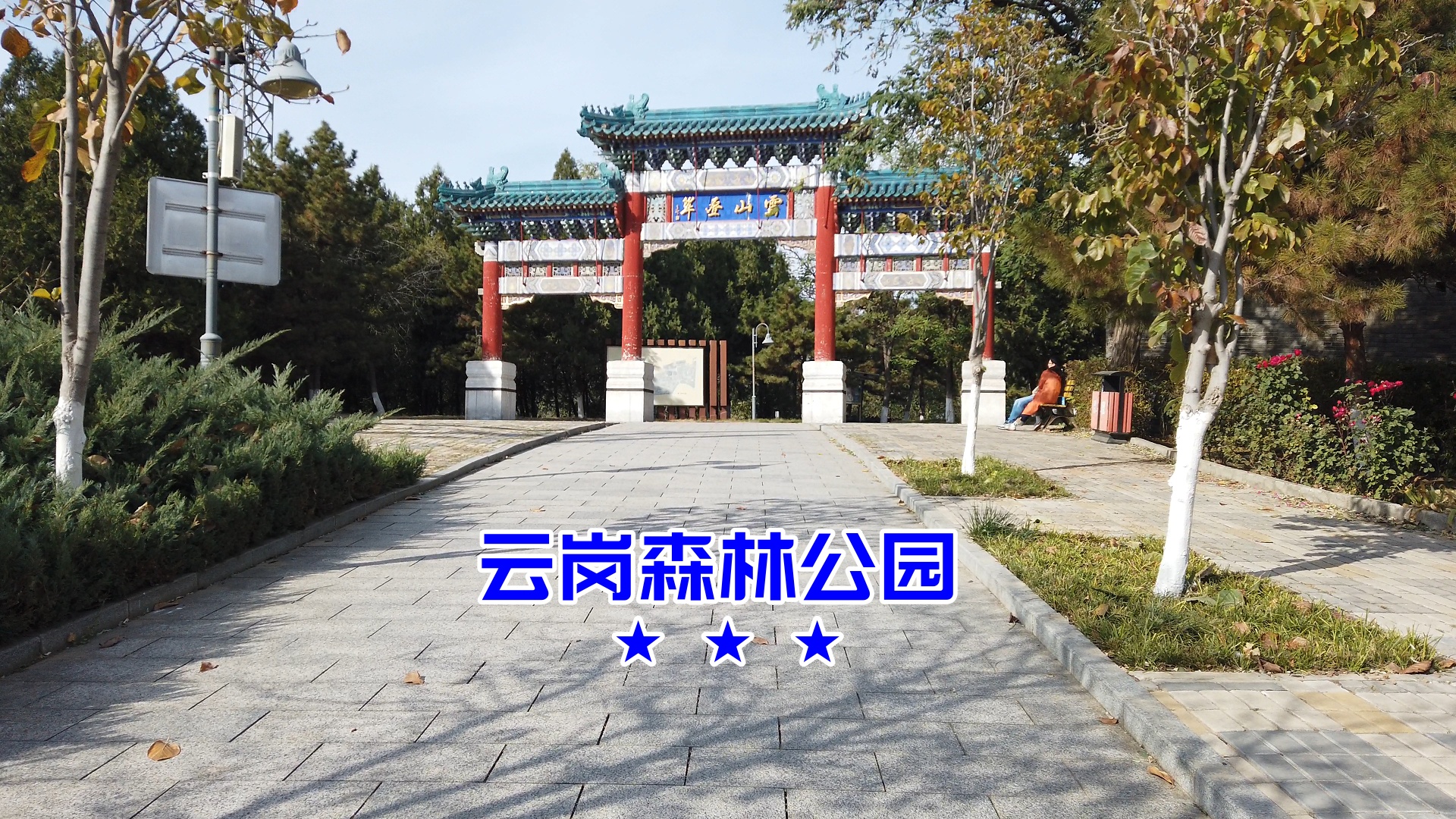 云岗森林公园,银鞍照白马,飒沓如流星