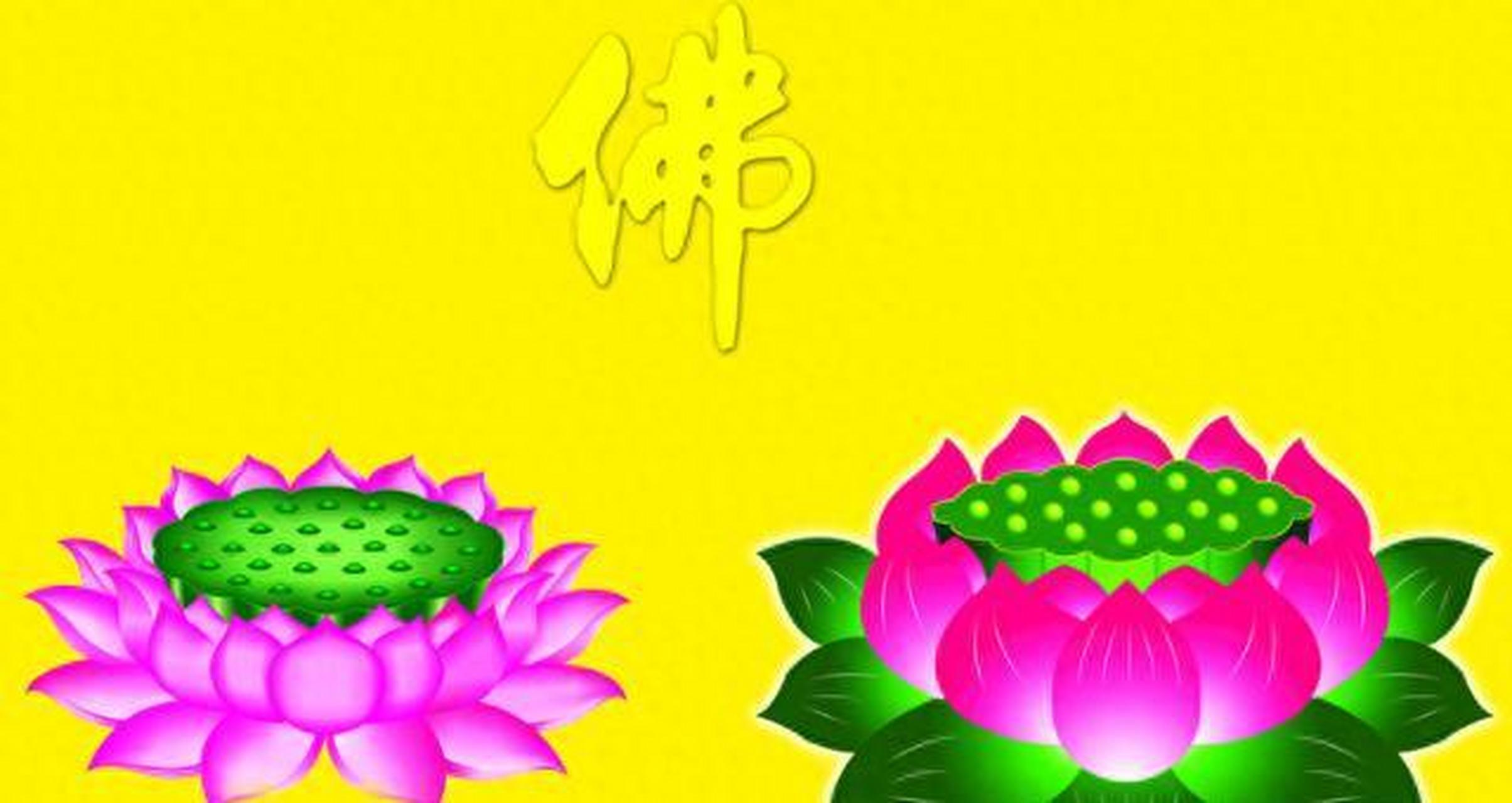 佛教中莲花象征着清净,智慧和觉悟,与佛陀形象紧密相关,成为佛教文化