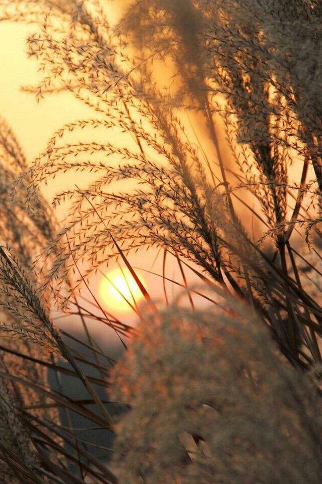 关上过去的门,向前看的人生风景