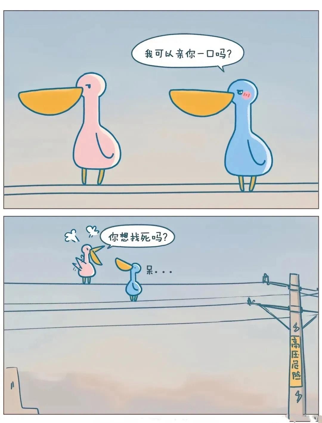 文科生表示不明白这有什么不可以的吗