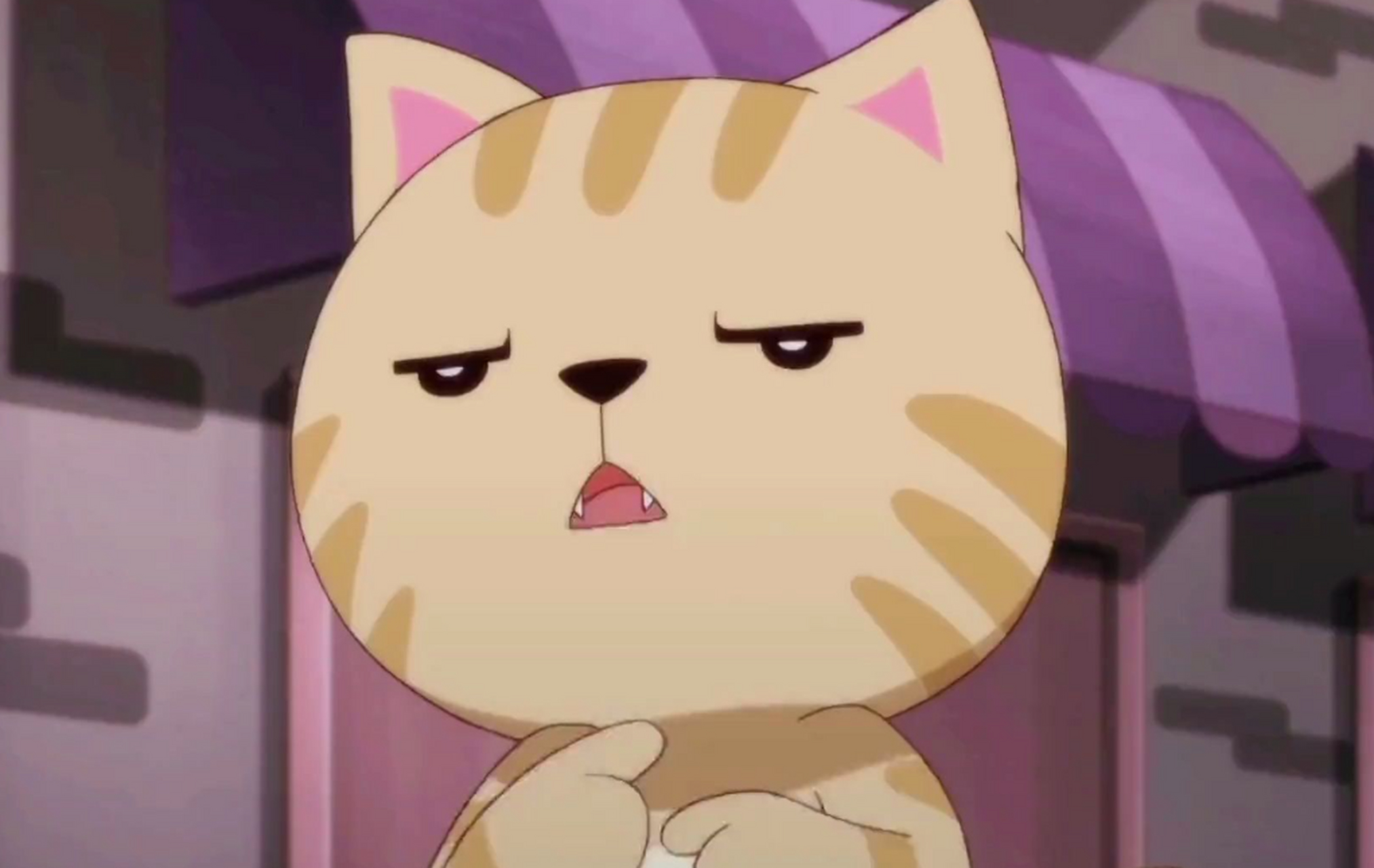 德国象征汉斯猫来啦!