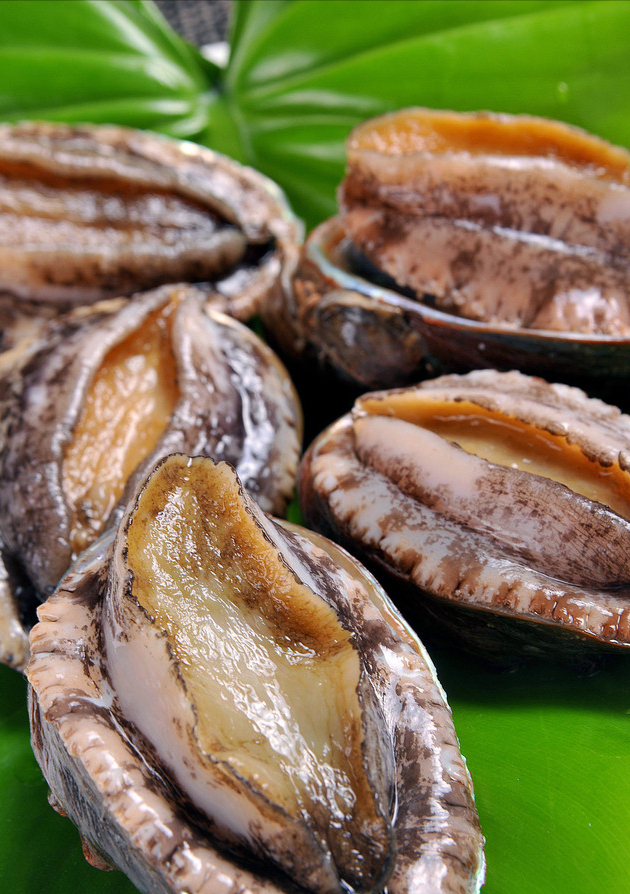 这种大版本的鲍鱼就是美国的加州红鲍,顾名思义,加州红鲍的外壳就是