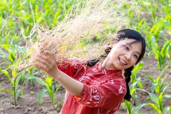 当初我把接班名额让给四姐做了民办教师如今养老境况千差万别