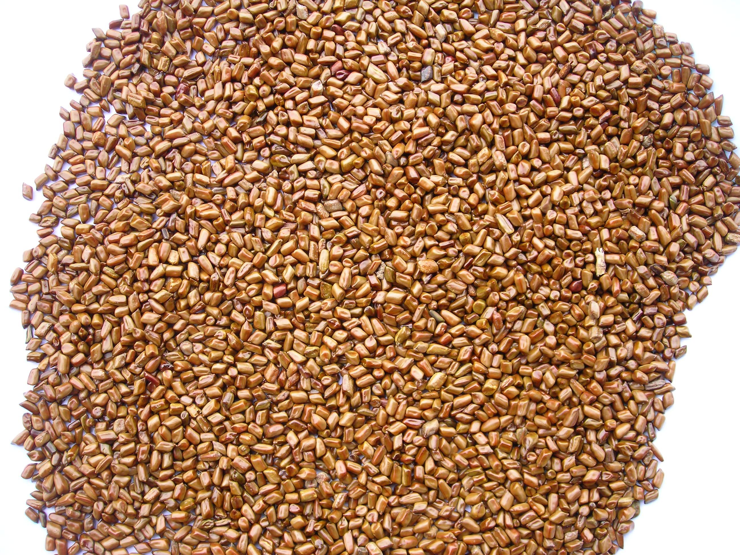 高效降血压中药