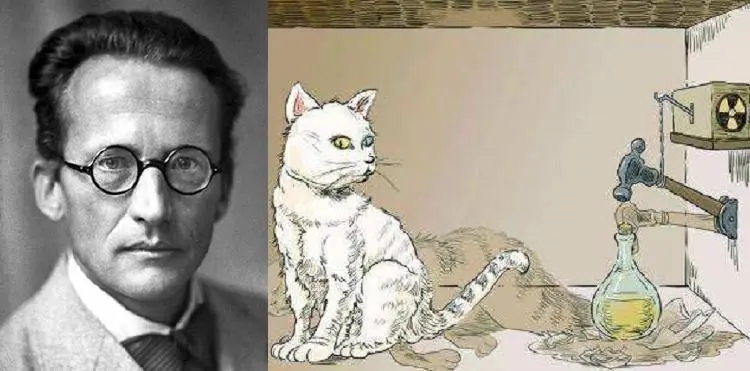 深层解读薛定谔的猫,这只猫为什么"既死又活"?