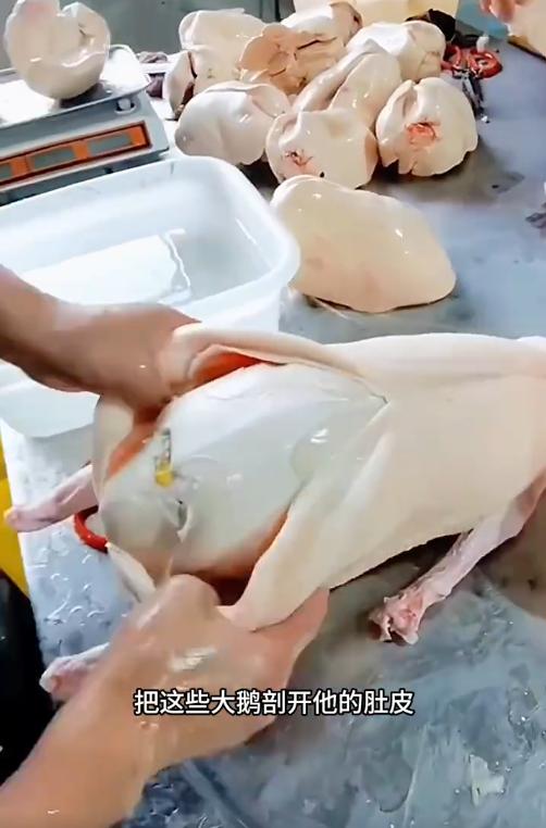 鹅肝,这一来自鸭科动物鹅的肝脏,便是其中的佼佼者,它不仅口感滑嫩