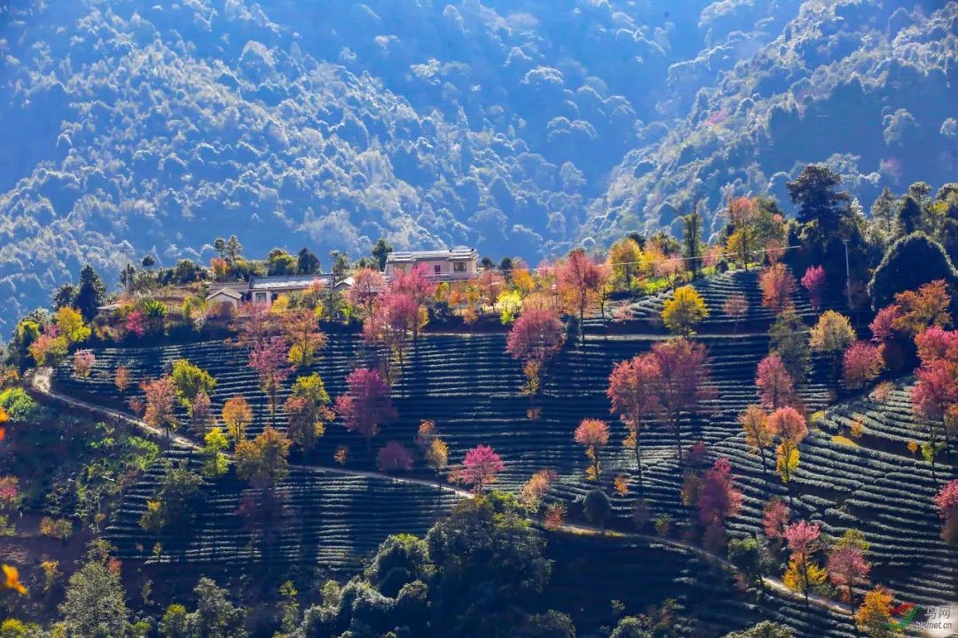 大理·南涧县,被低估的美丽之城,拥有比大理更舒适,比丽江更清净的