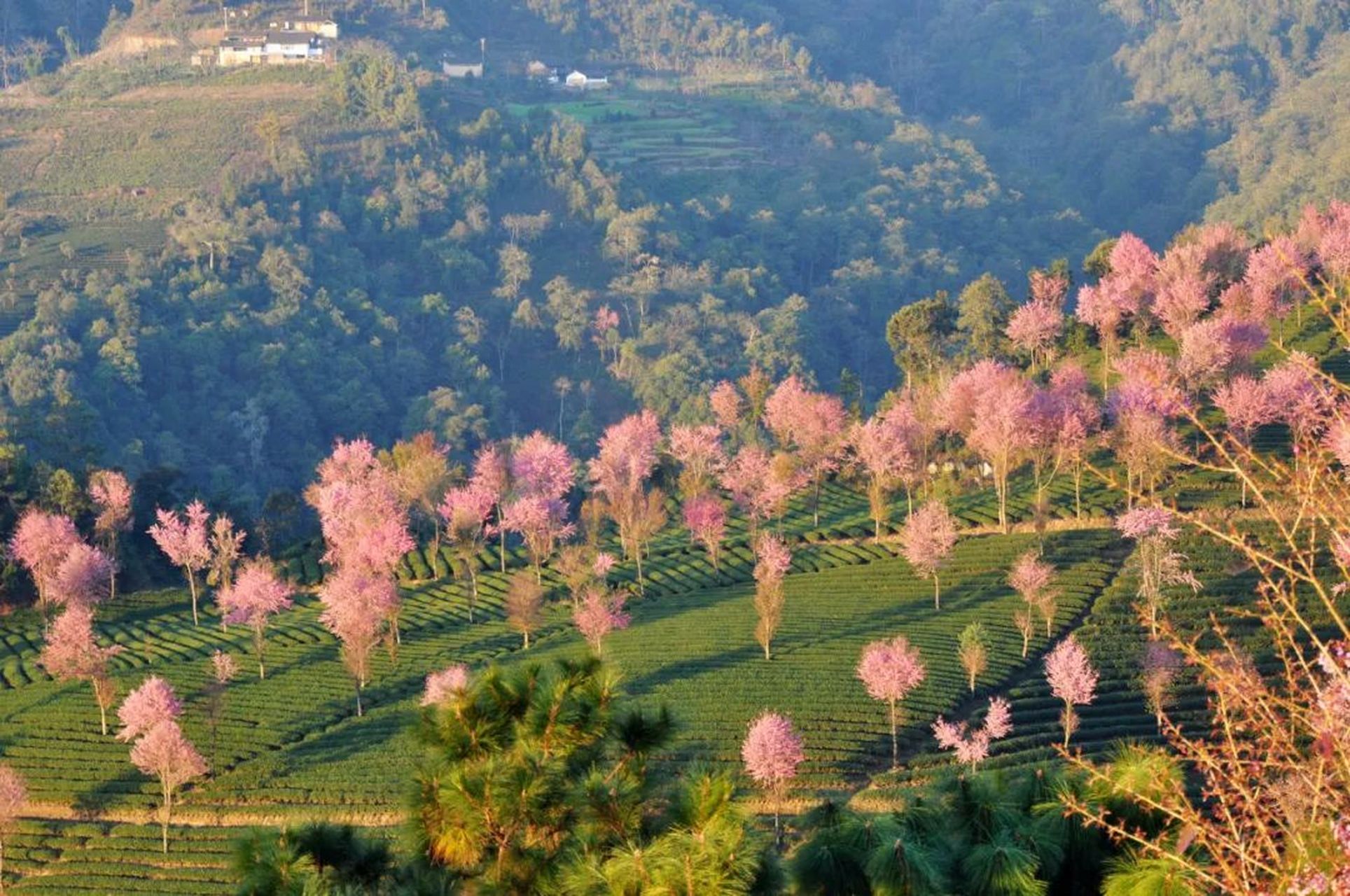 大理·南涧县,被低估的美丽之城,拥有比大理更舒适,比丽江更清净的