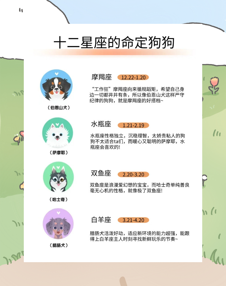 生肖狗双子座运势(生肖狗双子座运势如何)