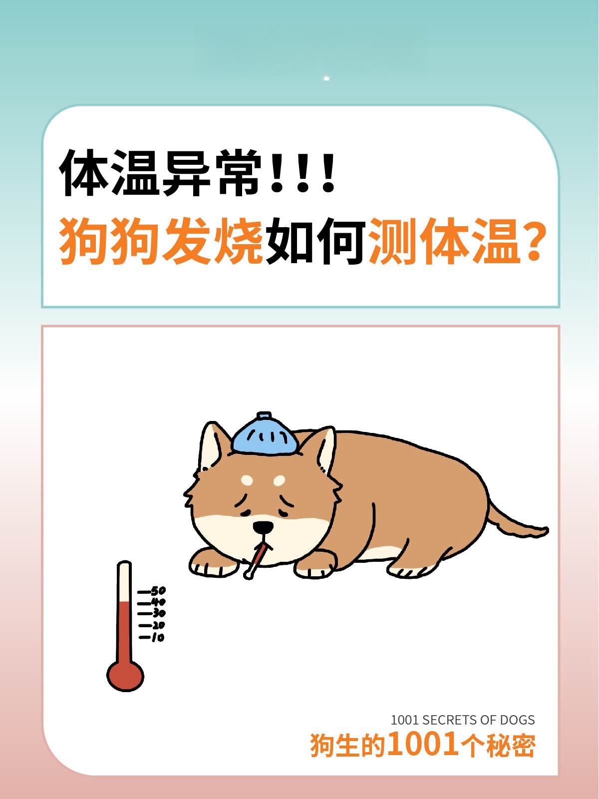 狗狗发烧测量体温全攻略