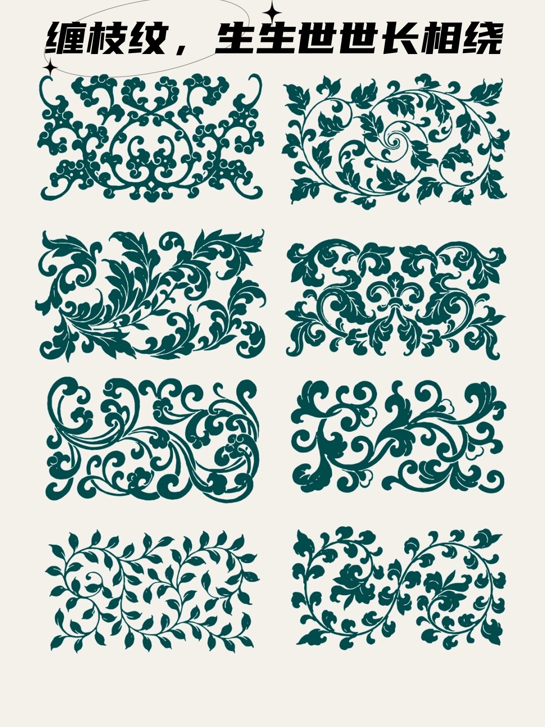 你知道吗?这藤蔓背后藏着大自然的奥秘和