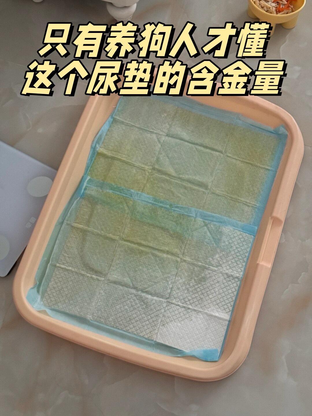 只有养狗人才懂这个尿垫的含金量