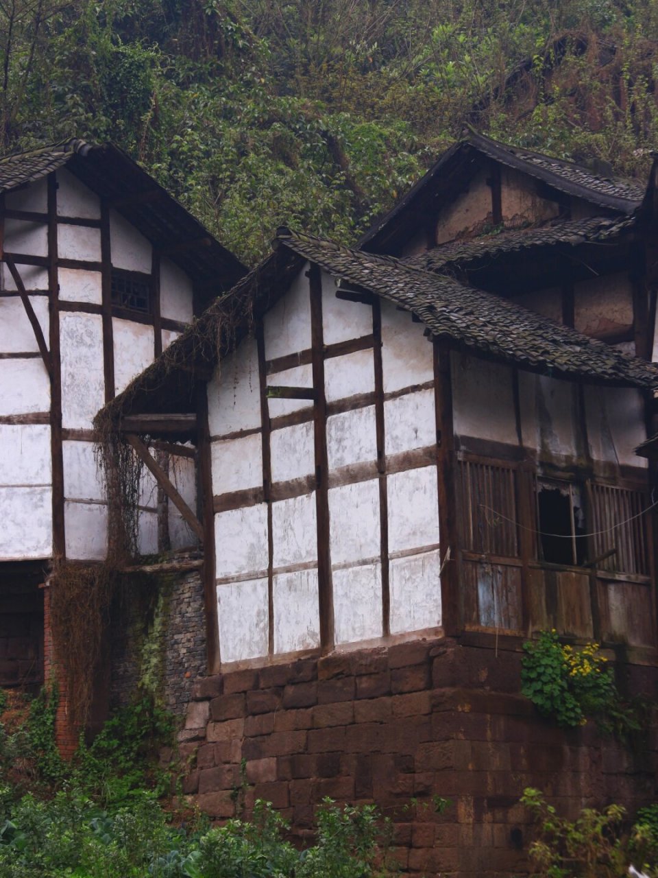 99沿口古镇坐落在四川省广安市武胜县的嘉陵江边,其历史可追溯至