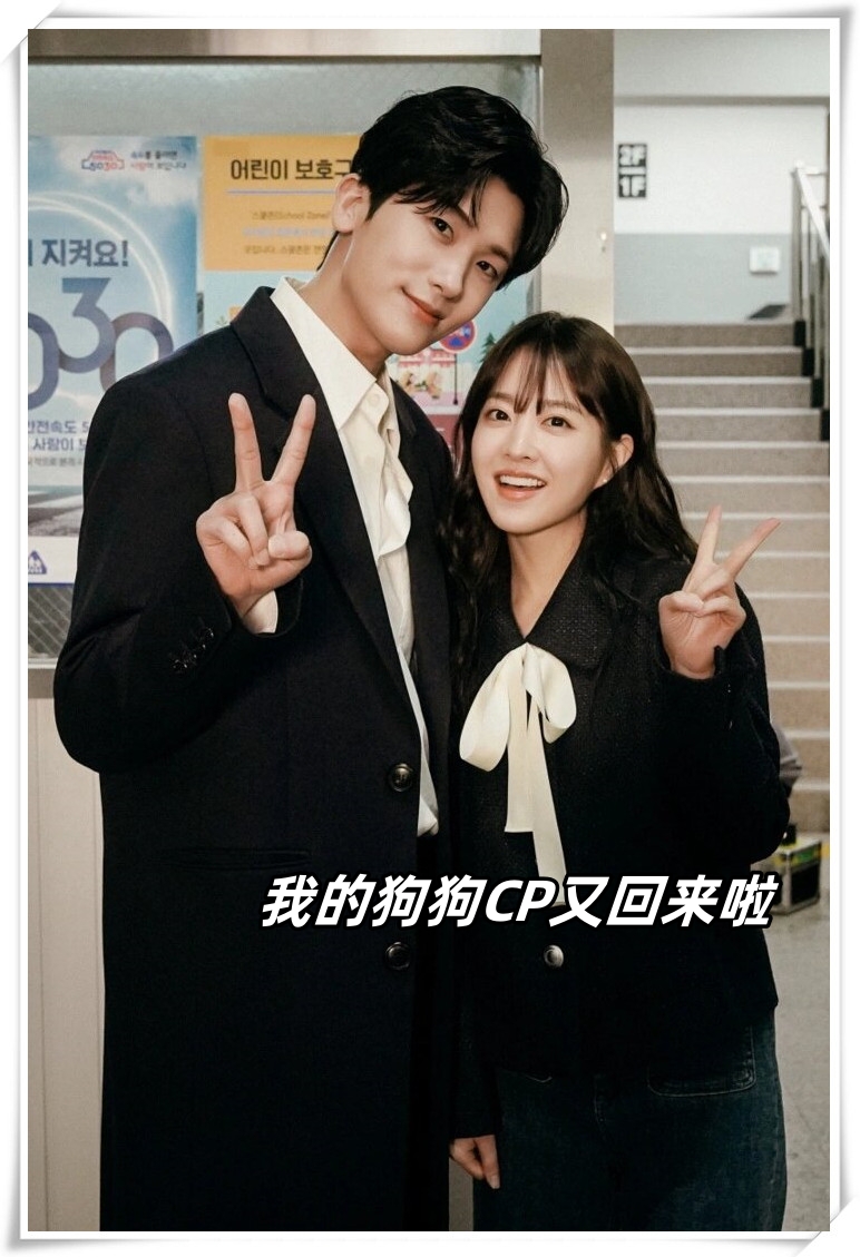 我的狗狗cp又回来啦  朴宝英和朴炯植再度合作,令人心动的化学反应啊