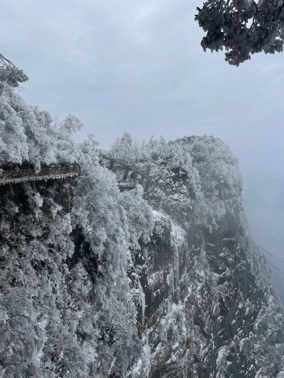 观赏雪景图片