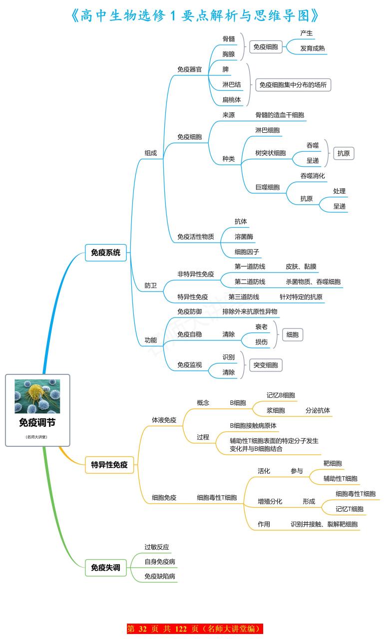 固有免疫思维导图图片