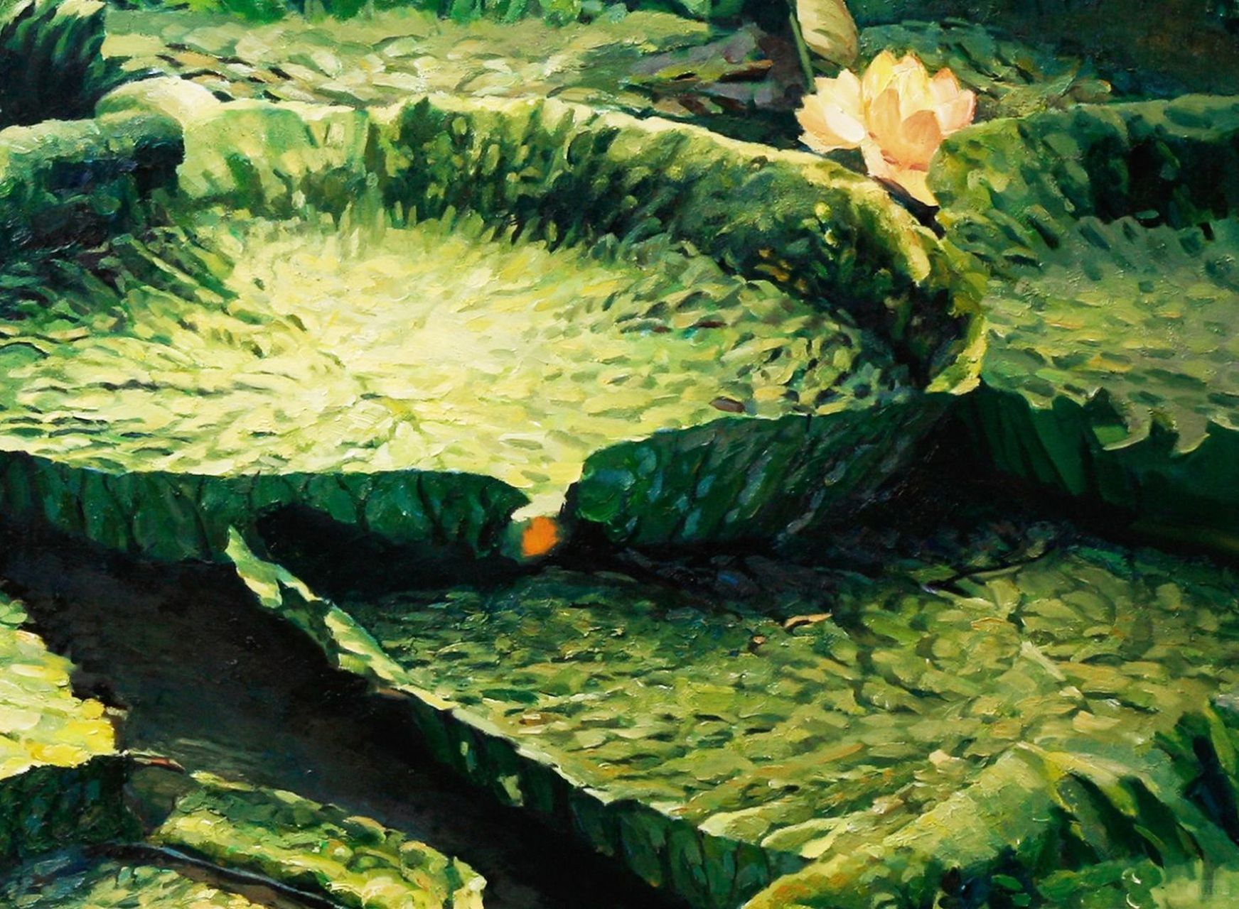 《莲蓬》的艺术价值探讨  我父亲精心创作的一幅油画《莲蓬》,那是一