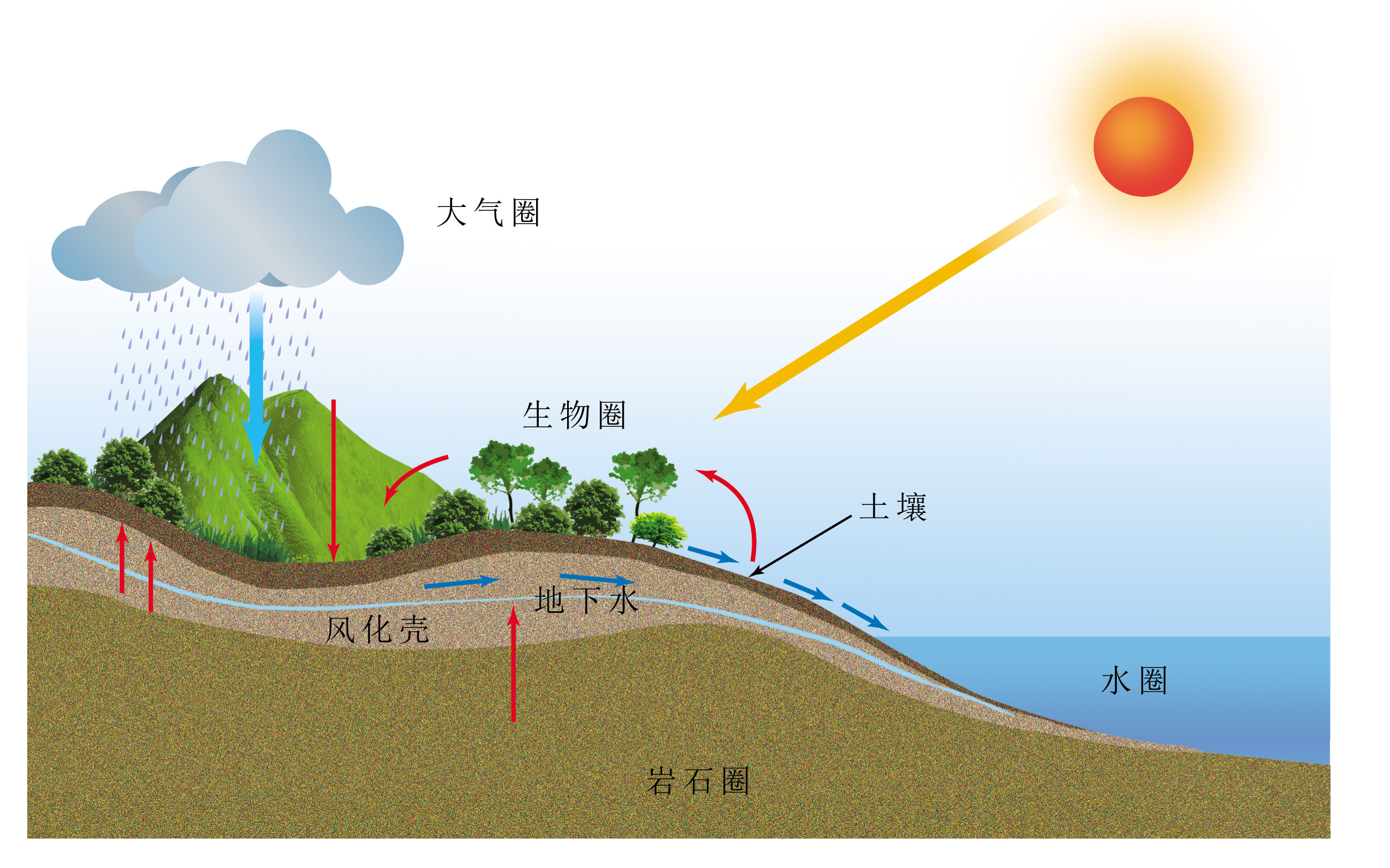 高中地理选必Ⅰ第五章第一节"自然环境的整体性"知识清单