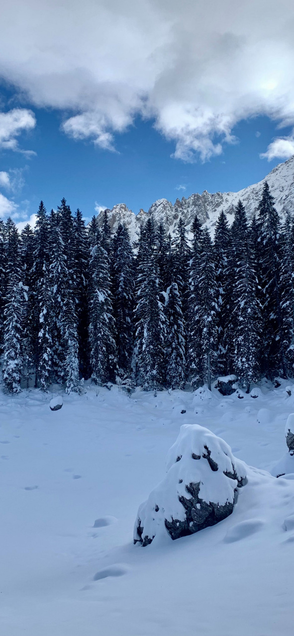 雪景壁纸 风景中的忧伤很轻,轻得像一片雪花,却怎么也吹不走,冰凉地留