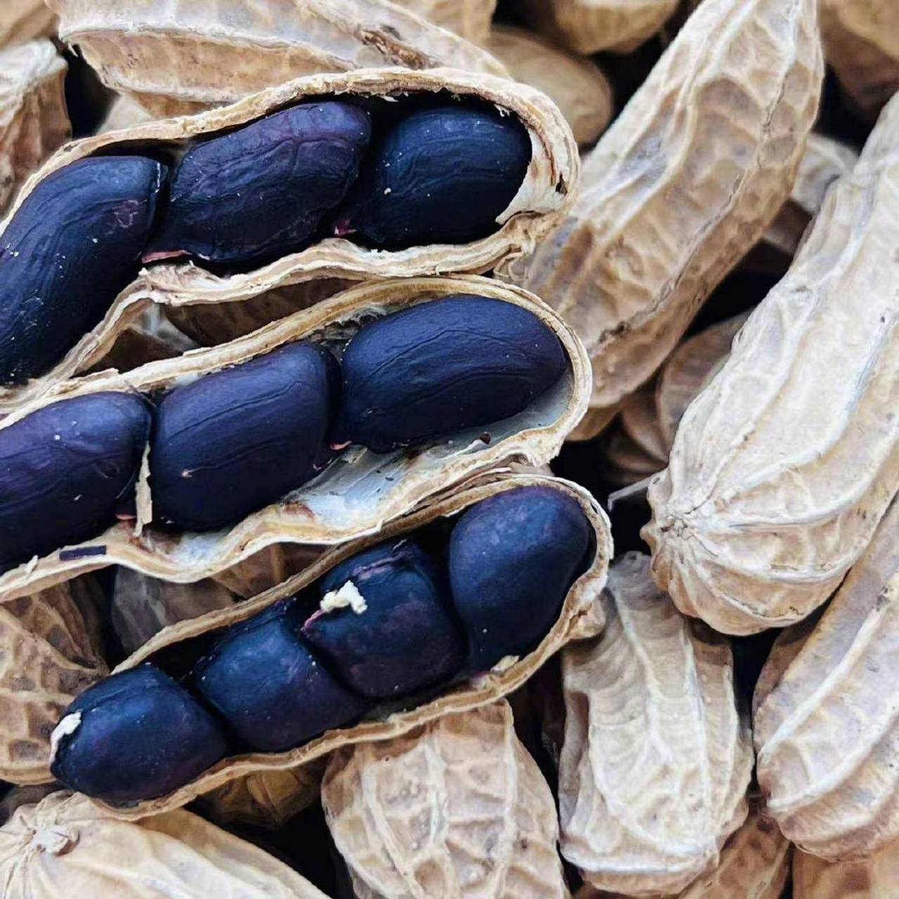 这款富硒黑花生低温烘焙熟制的零食,是一种健康又美味的选择.