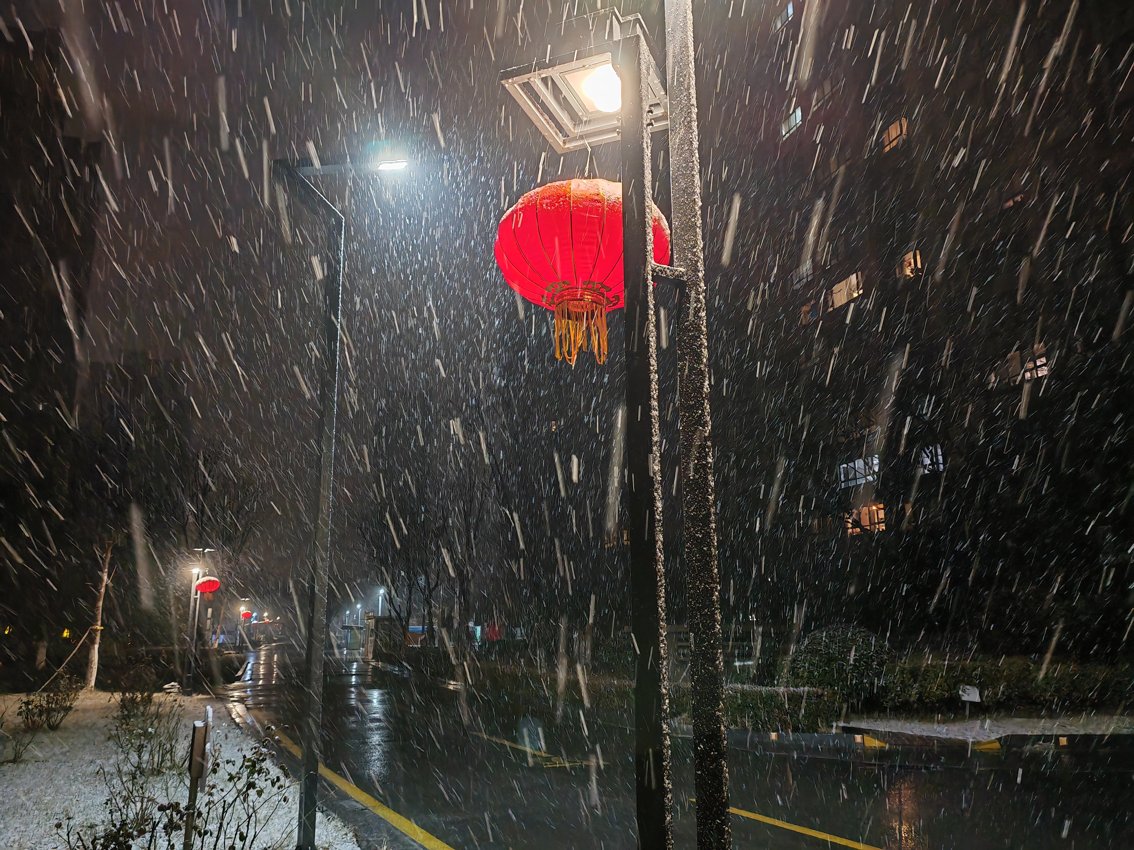 灯光下的雪