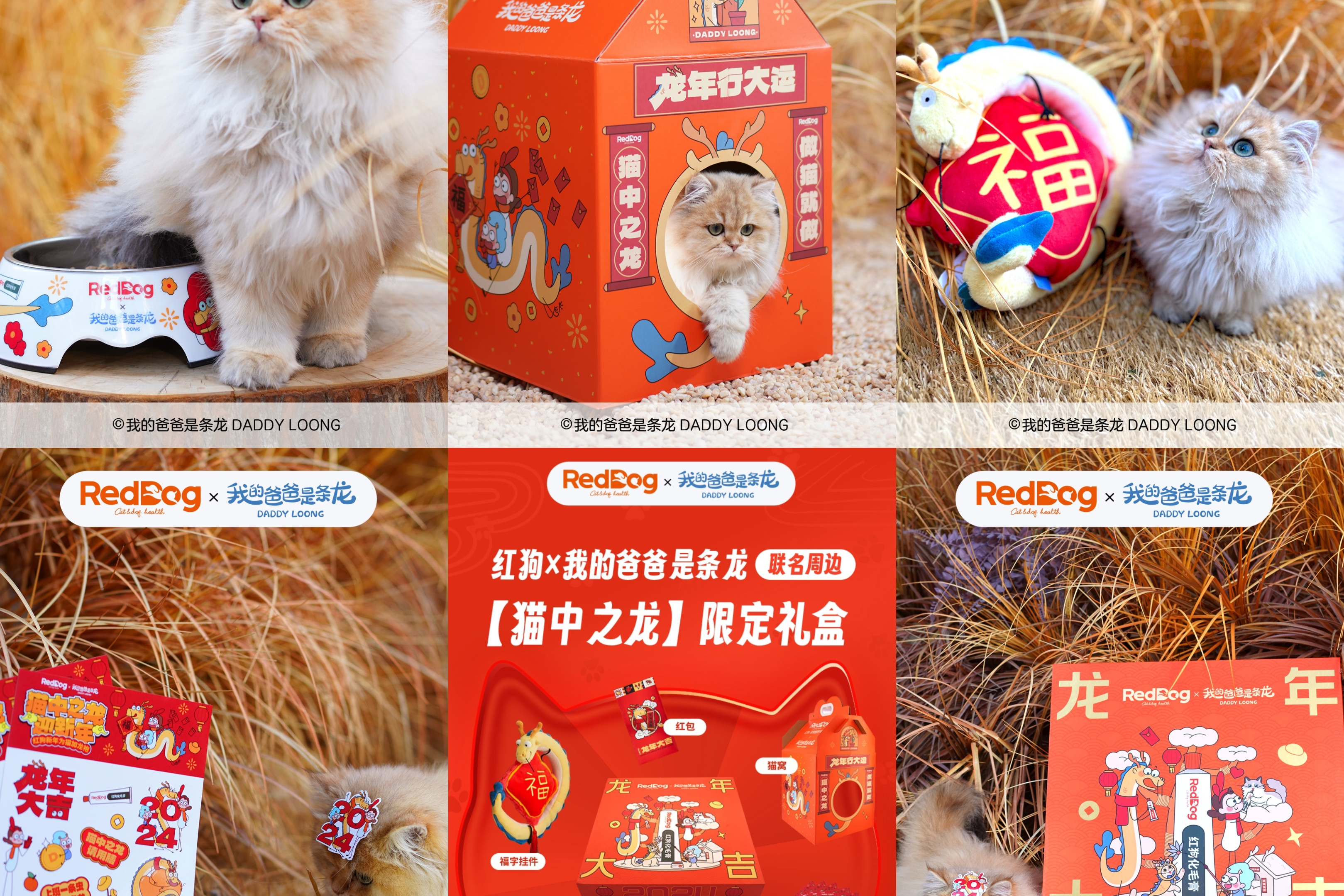 铲屎官们,快给毛孩子们送上这份新春好物.