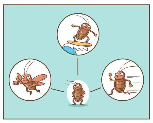 九成人不知蟑螂的天敵是啥家裡放點它蟑螂立馬消失了