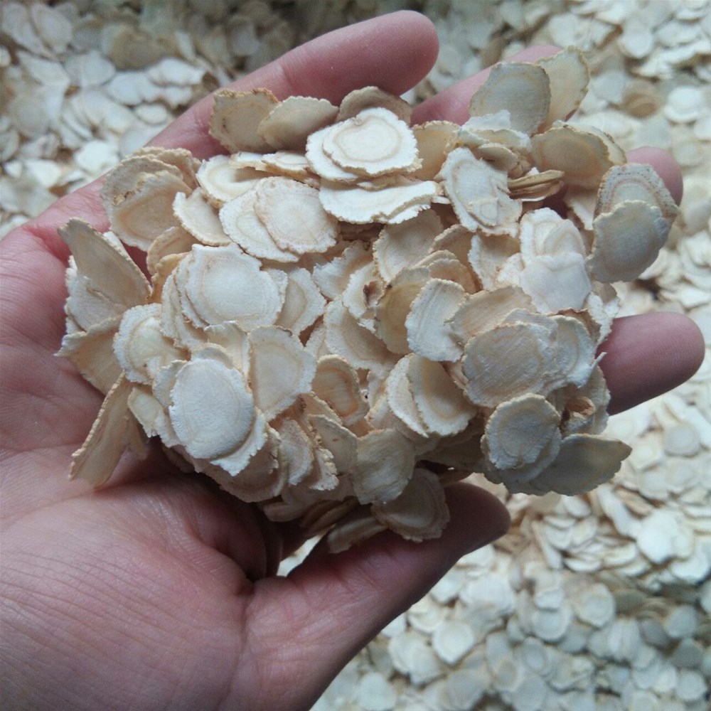 2024年1月31日广西玉林药材市场行情