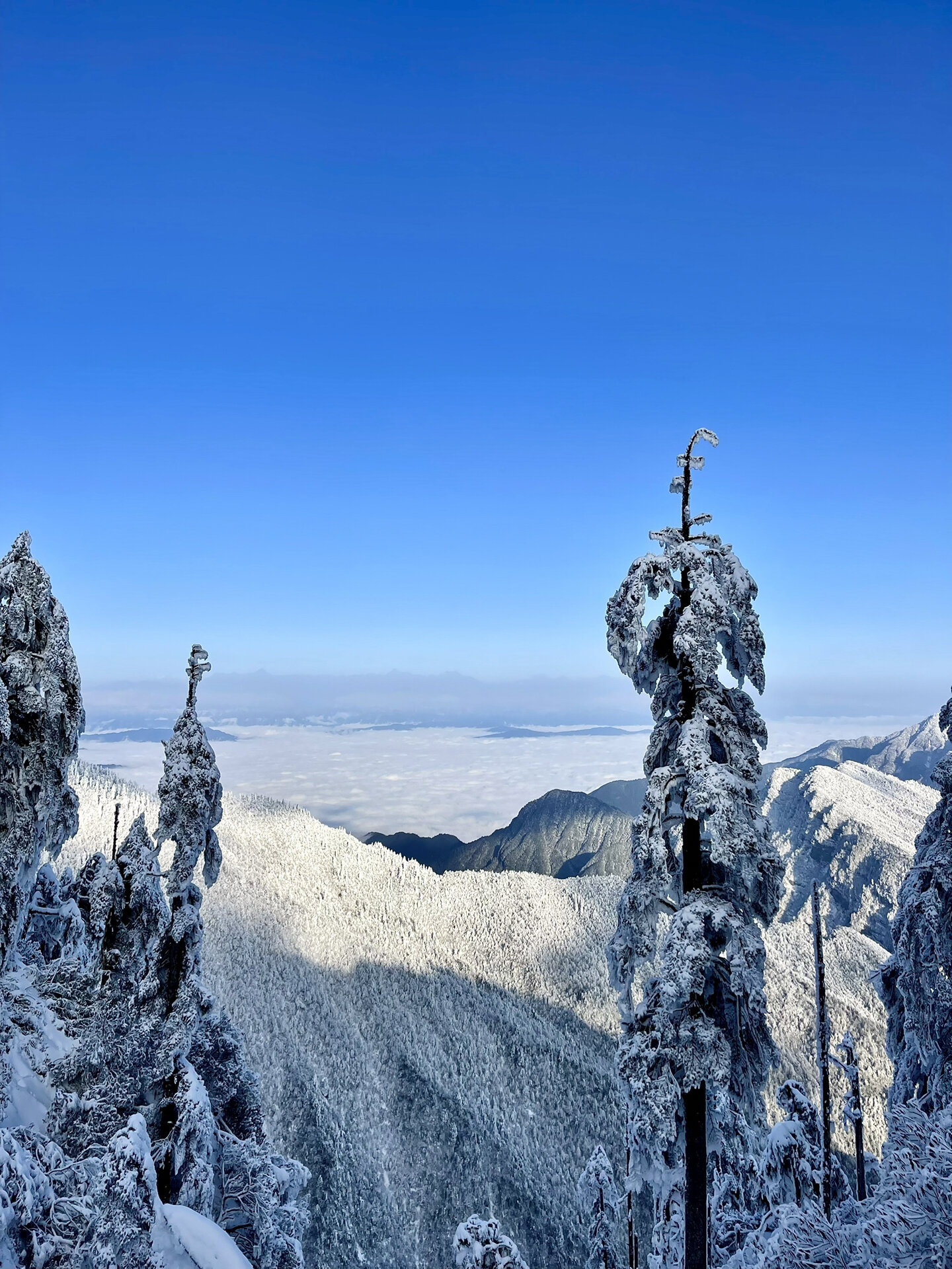 瓦屋山:冬日雪景的绝佳观赏地