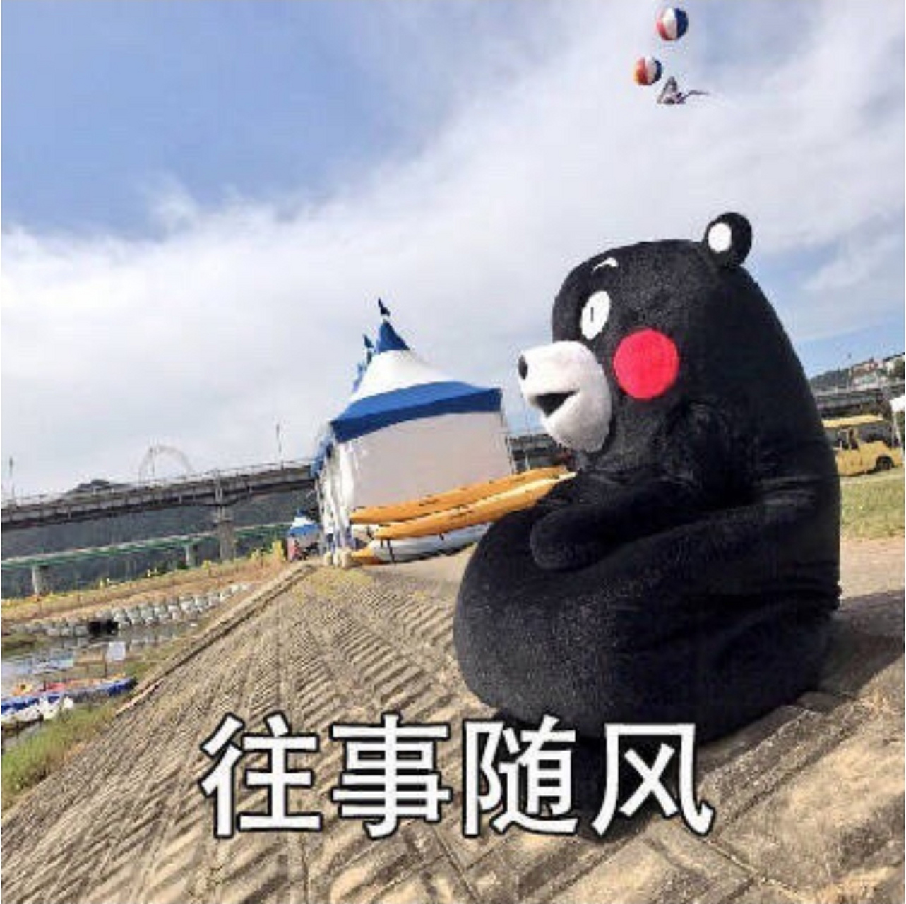 的微信名称和头像都有这样的规律:  大妈大婶的微信名大多是四字成语