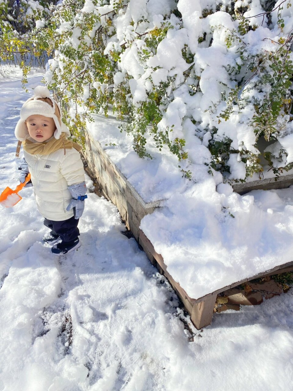 玩雪照片真实图片