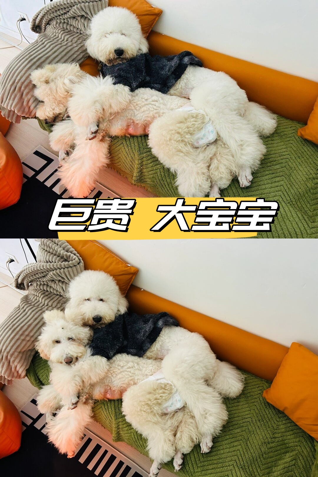 是我的大臭宝呀每天看着就心情超好了