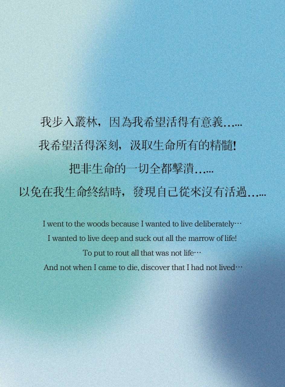 死亡诗社专业影评