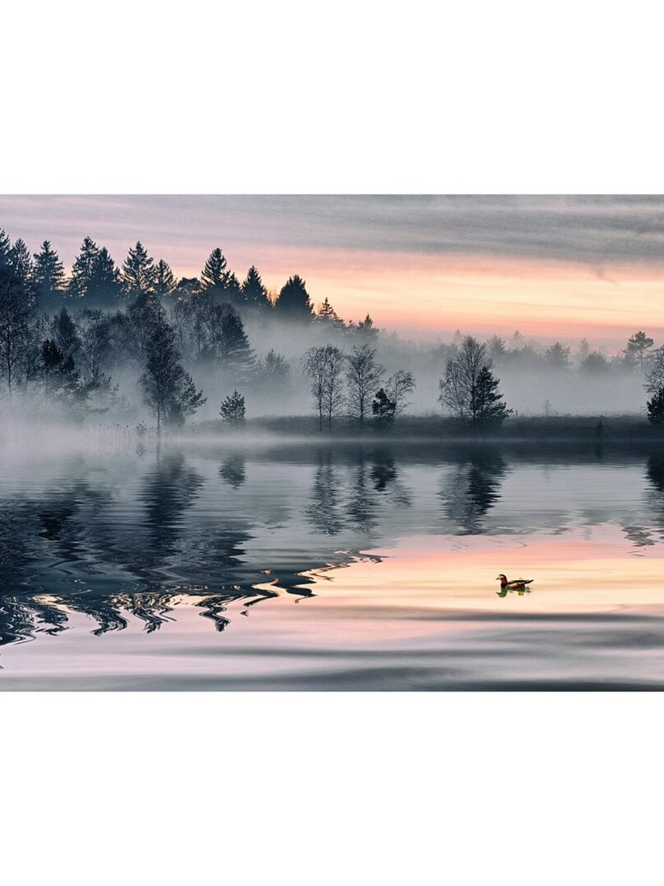 中国风意境山水风光摄影  中国风意境山水风光摄影,是一种将中国传统