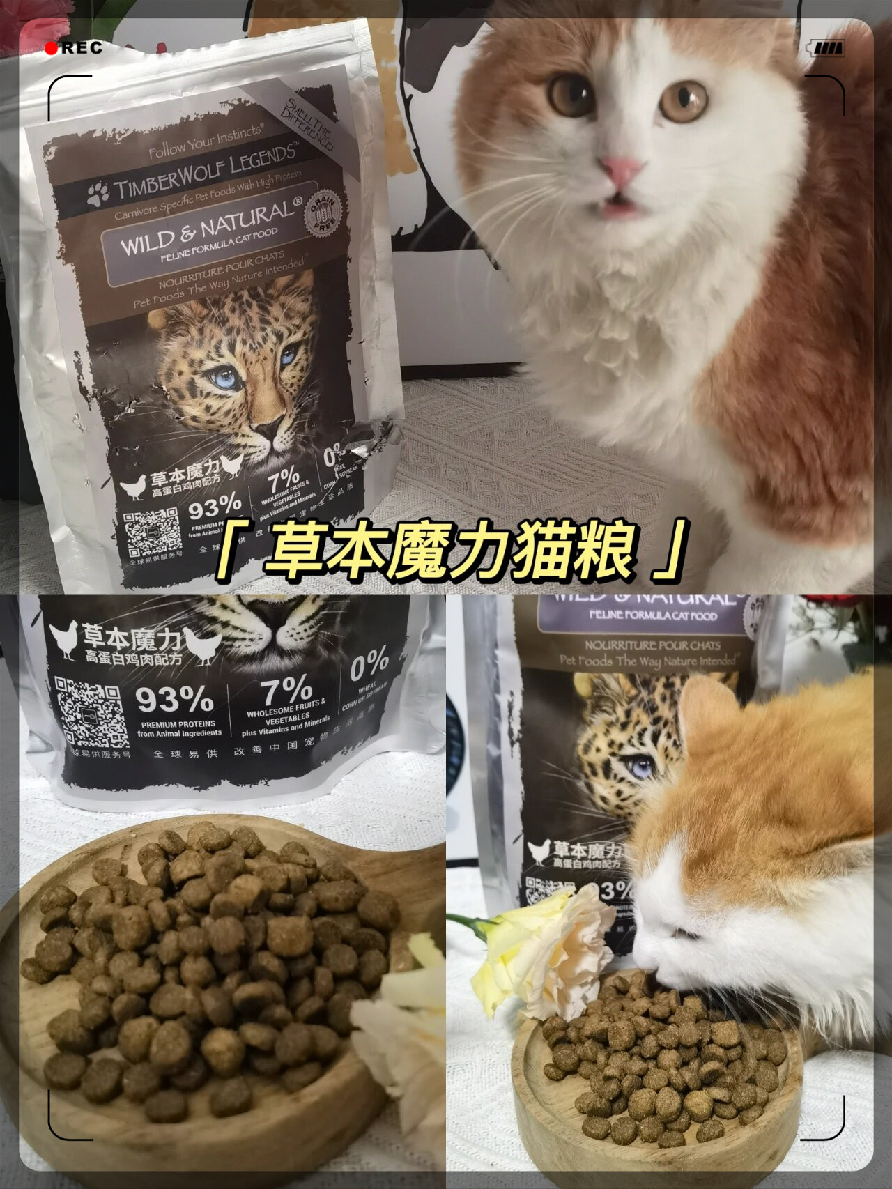 常见猫咪诱食剂图片