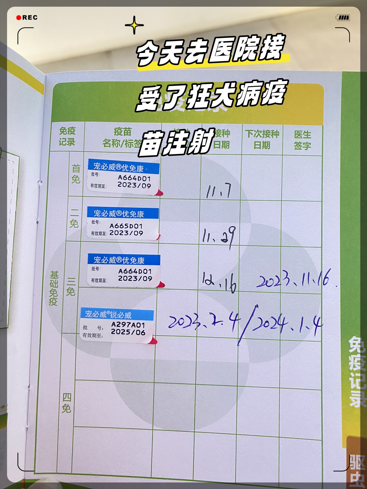 关于北京中医药大学第三附属医院代问诊加陪诊挂号疫苗接种按时协助，全程不耽误的信息