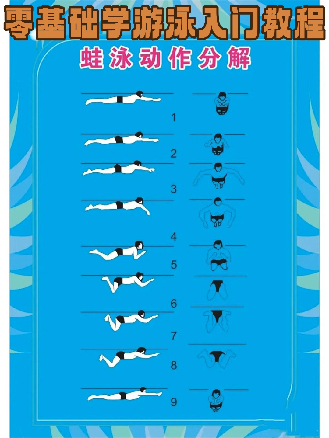 零基础学游泳入门教程