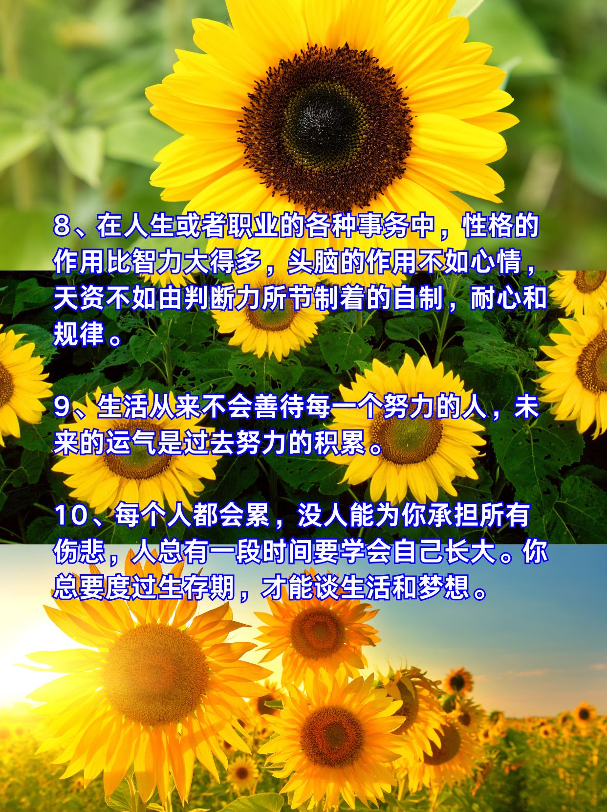 1,愿你如向日葵一样,面朝阳光,努力生长,保持