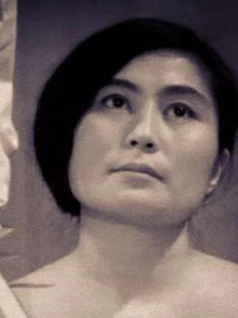 艺术分享4——《切片》小野洋子  《切片》小野洋子是艺术家张恩利