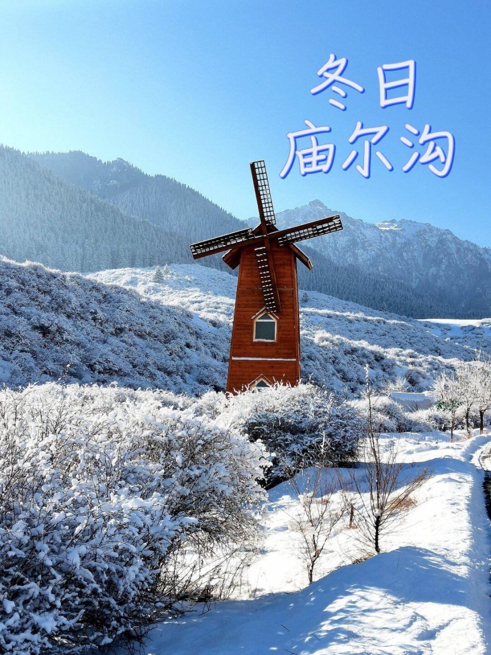 乌鲁木齐南山雪景图片