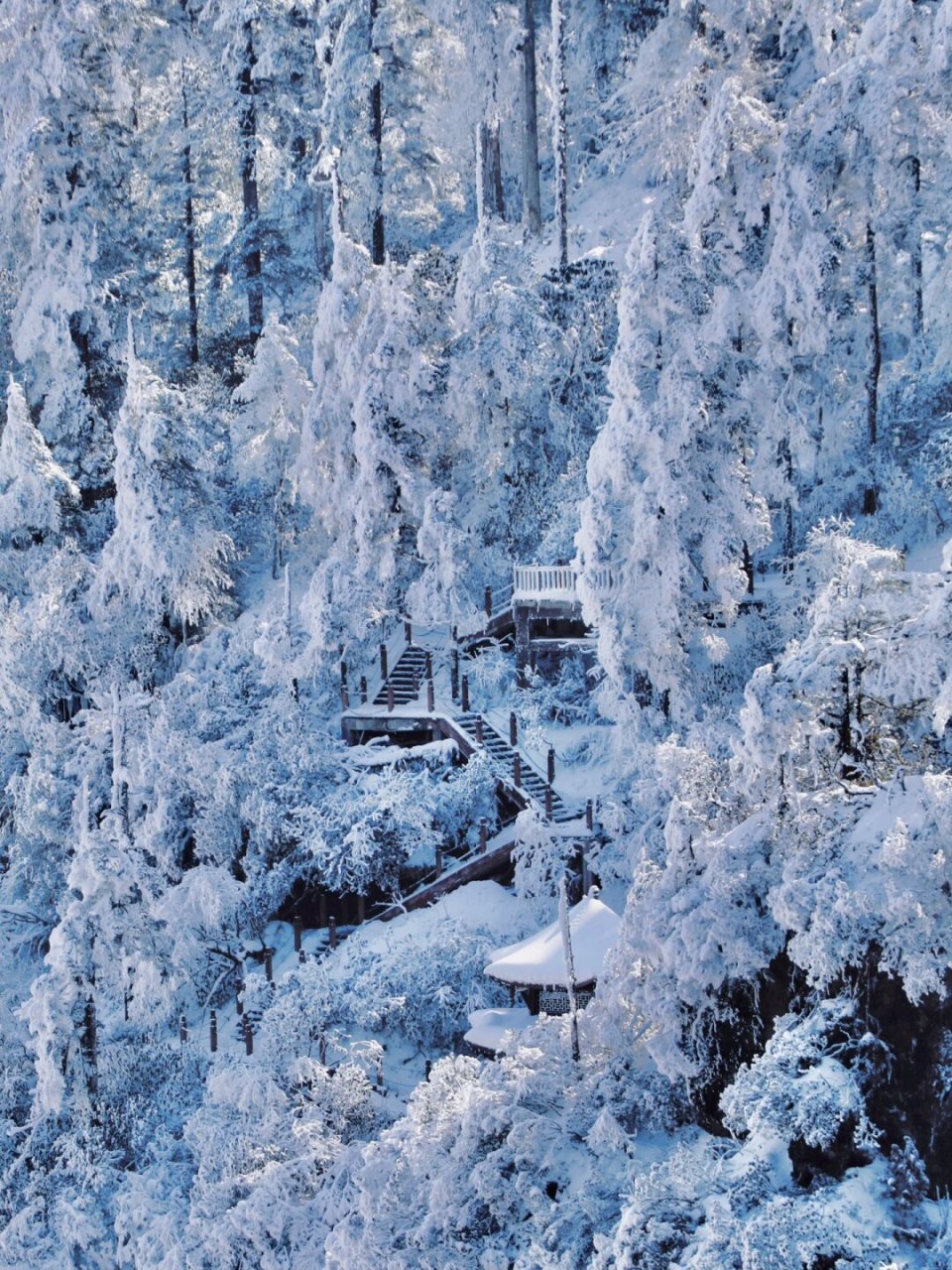 瓦屋山山顶图片图片