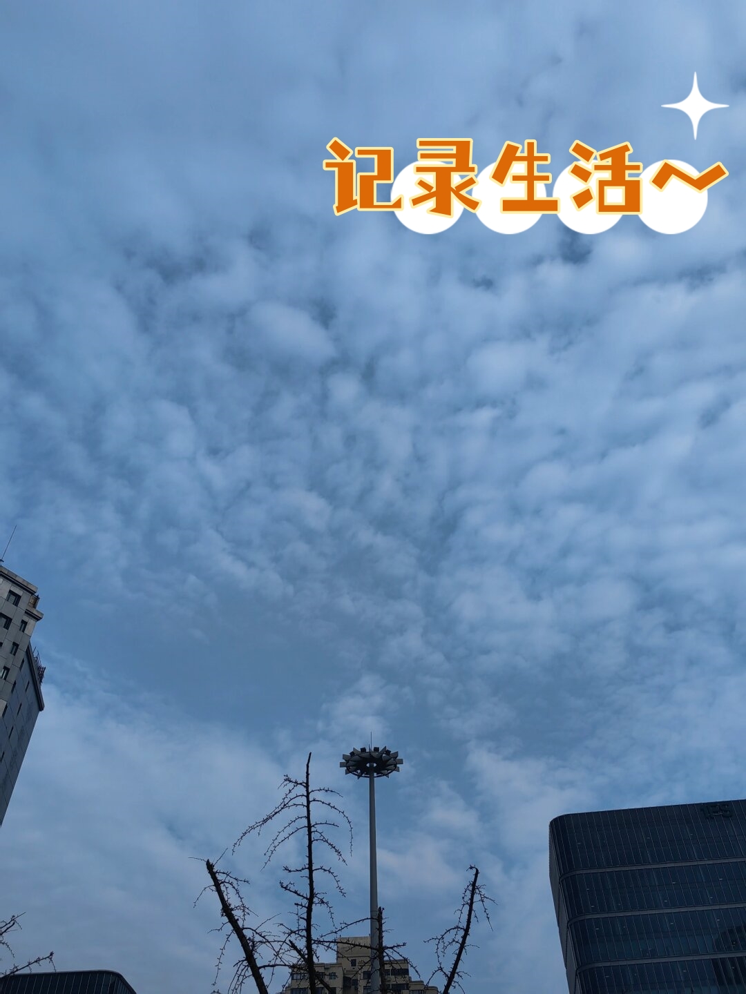 希望好天气能持续下去给我们带来更多美好的日子