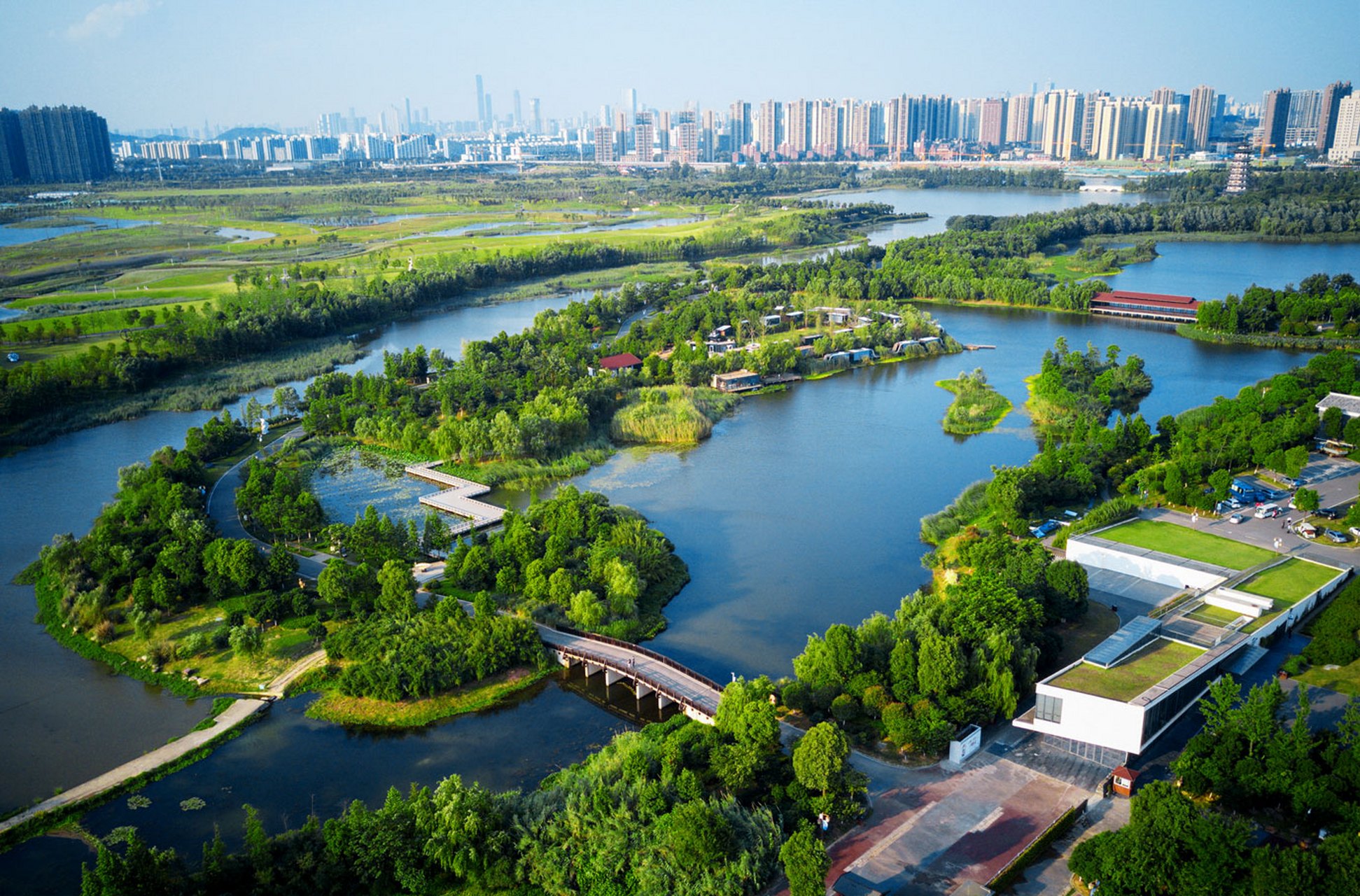 沙城湿地公园图片