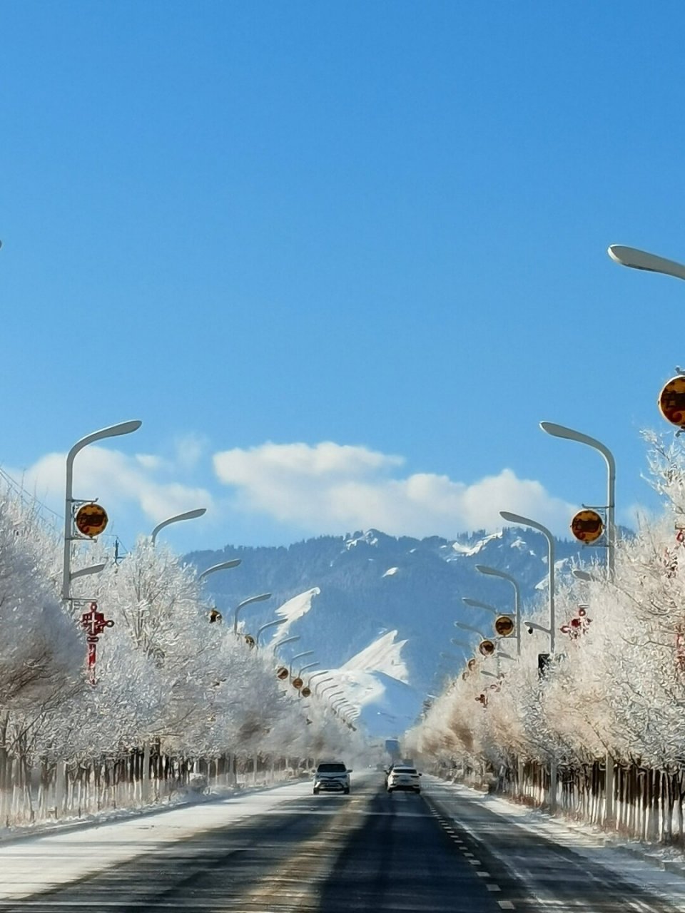 冬日里的童话世界,南山雪景太美了  99乌鲁木齐县水西沟镇南山景区
