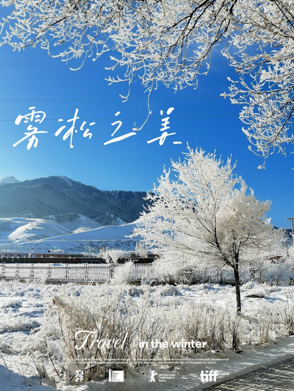 冬日里的童话世界,南山雪景太美了  99乌鲁木齐县水西沟镇南山景区