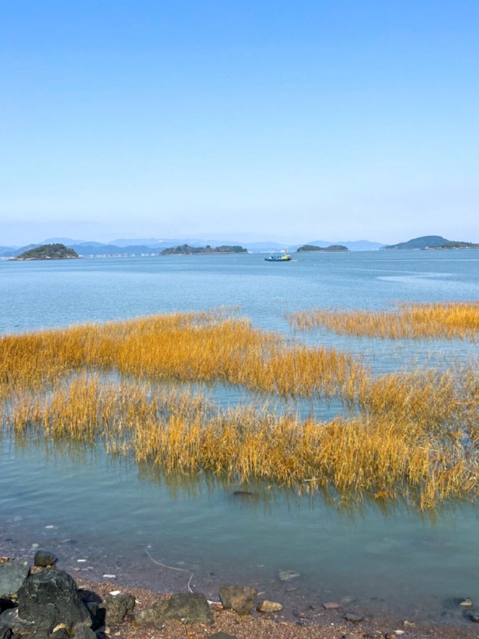 宁波这个岛屿太美了,不用人挤人!
