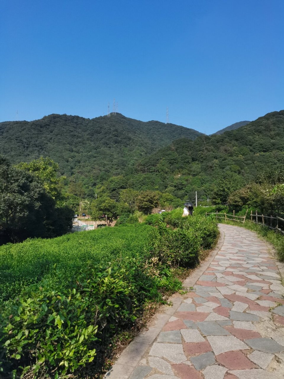 北仑森林公园徒步  我踏入了北仑森林公园,准备在自然的怀抱中畅游